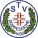 Logo TSV Viol